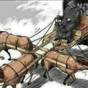 Meet your Posher, Richmond